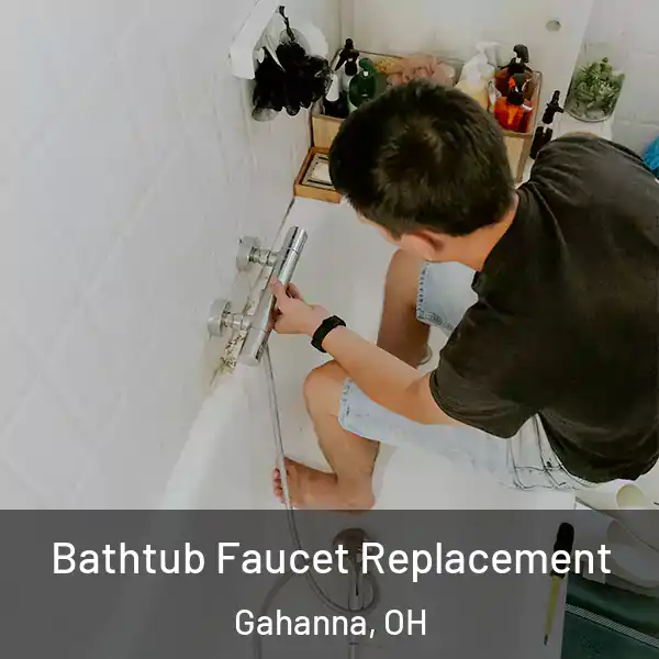  Bathtub Faucet Replacement Gahanna, OH