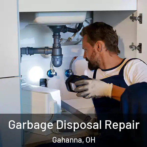  Garbage Disposal Repair Gahanna, OH