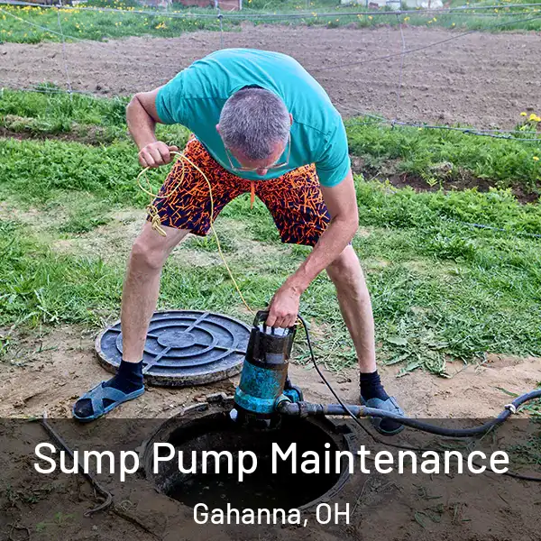  Sump Pump Maintenance Gahanna, OH