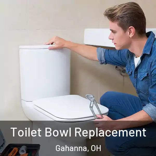  Toilet Bowl Replacement Gahanna, OH
