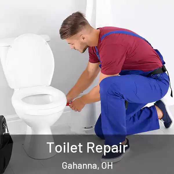  Toilet Repair Gahanna, OH