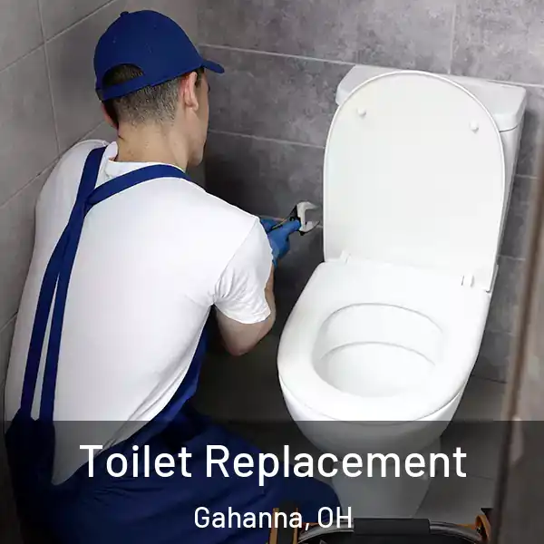  Toilet Replacement Gahanna, OH