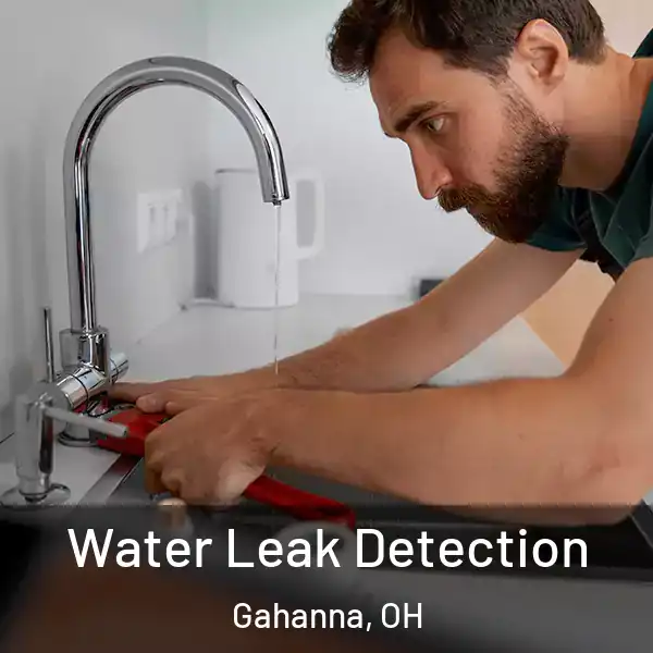  Water Leak Detection Gahanna, OH