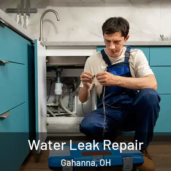  Water Leak Repair Gahanna, OH